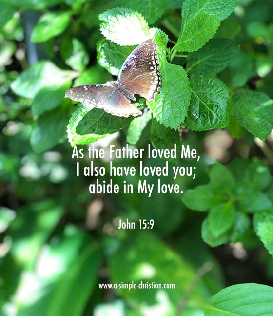The Love of Jesus - Abide in His Love - John 15:9