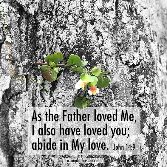 To abide in Christ means trusting and resting on Jesus' finished work on the cross. It is the only place where a Christian can stay secured at all times.