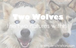 two wolves